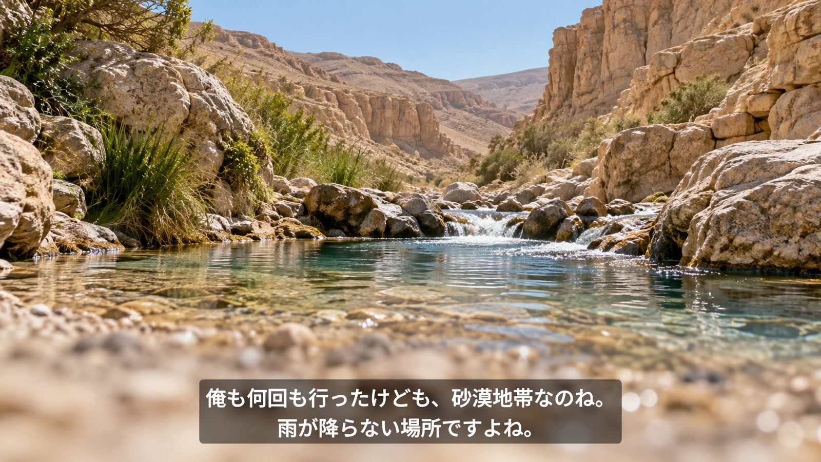 乾いた地に流れが戻るように。メッセージ映像中のネゲブの流れのイメージ。
