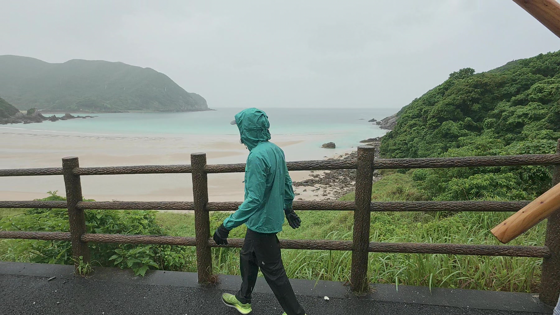 雨の湾沿いの道を歩くアーサー先生