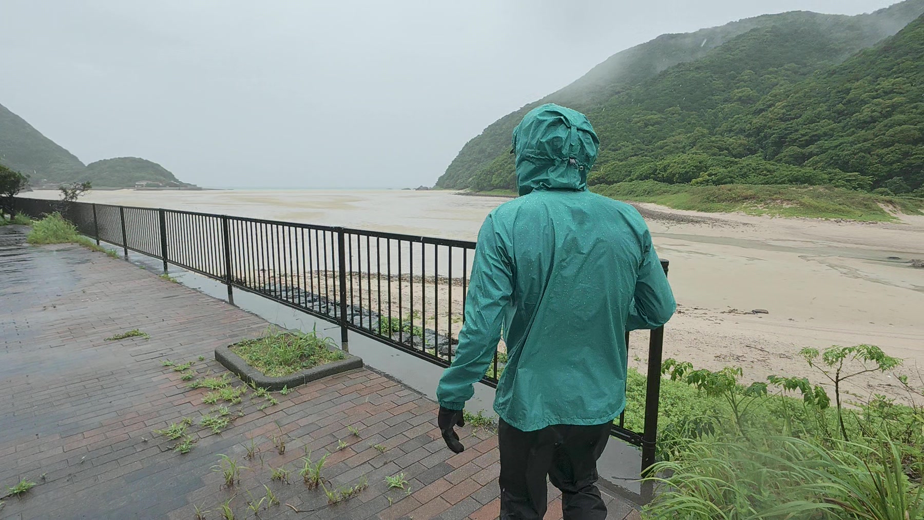 雨の湾を見渡す海沿いを歩くアーサー先生